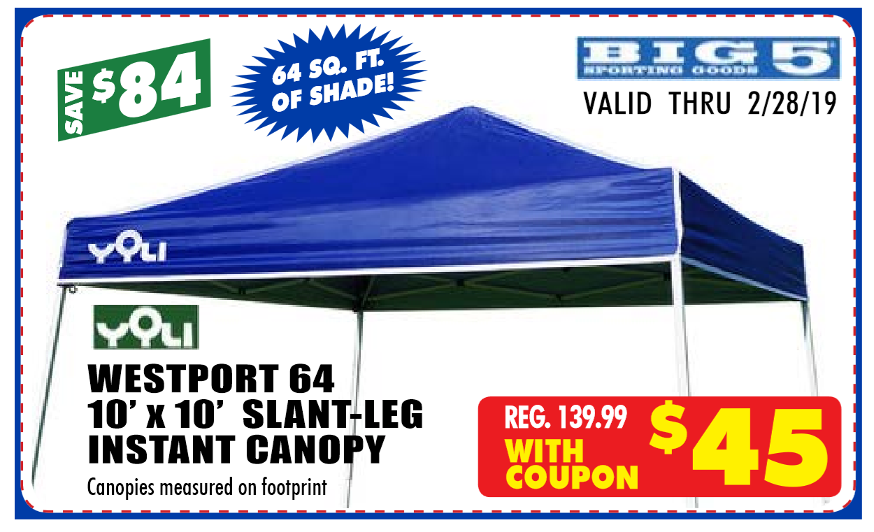 Big 5 Sample Instant Canopy ad