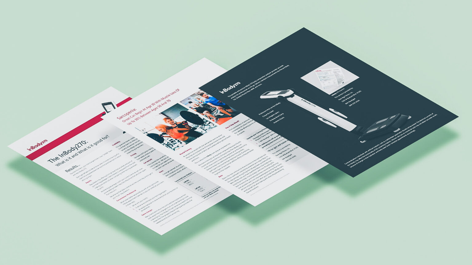 New Age Fitness - Burbank, Ca InBody 270 Marketing Collateral New Age Fitness - Burbank, Ca InBody 270 Marketing Collateral